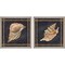 Seashell on Navy by Cindy Jacobs, 2 Piece Rustic White Framed Art Set